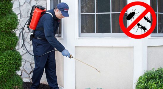 Dalaman Karınca İlaçlama böcek ilaçlama ve haşere kontrolü — ilaclama-tr.com